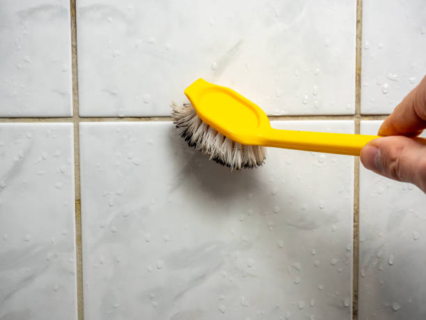 Best Preventive Mold Services in Laguna Heights, TX