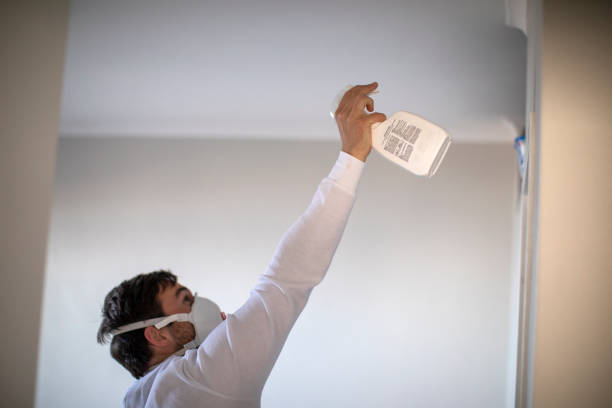 Best Black Mold Remediation in Laguna Heights, TX