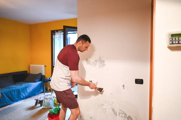 Best Post-Remediation Services in Laguna Heights, TX